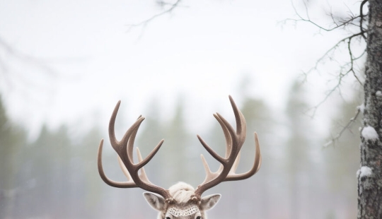 I Created Ridiculously Accurate Images Of Finland I Created Ridiculously Accurate Images Of Finland
