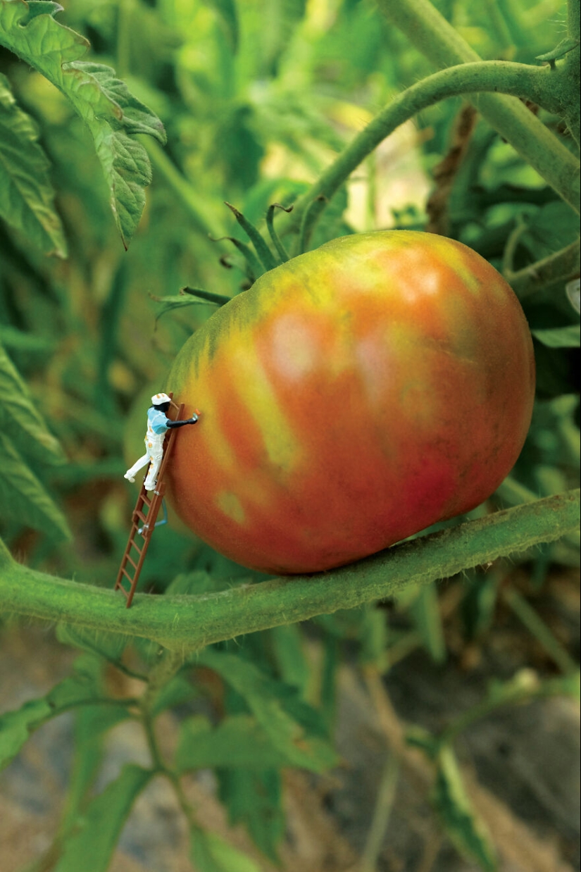 I Spent A Year Photographing The Tiny Residents Of Our Vegetable Farm, And Here Are The Best 10 Photos