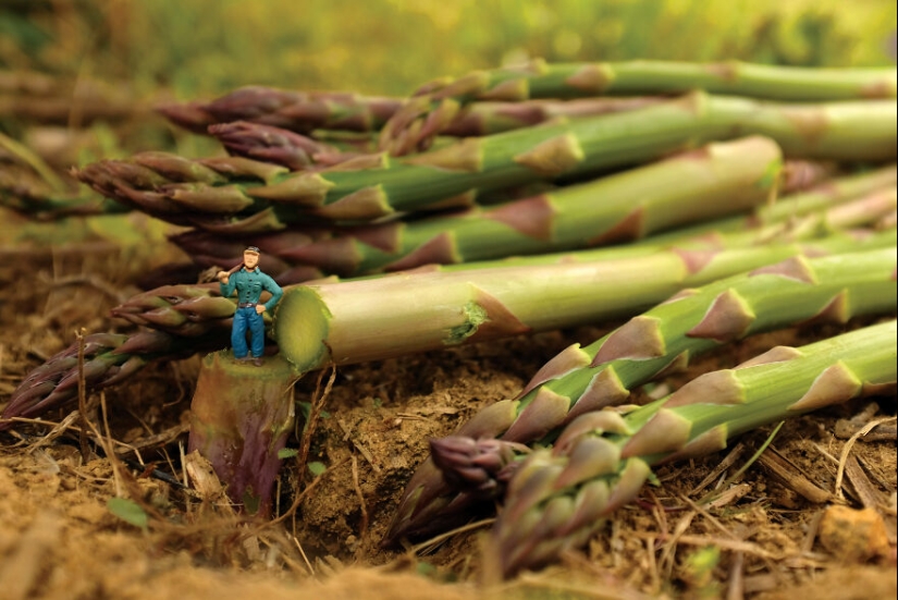 I Spent A Year Photographing The Tiny Residents Of Our Vegetable Farm, And Here Are The Best 10 Photos