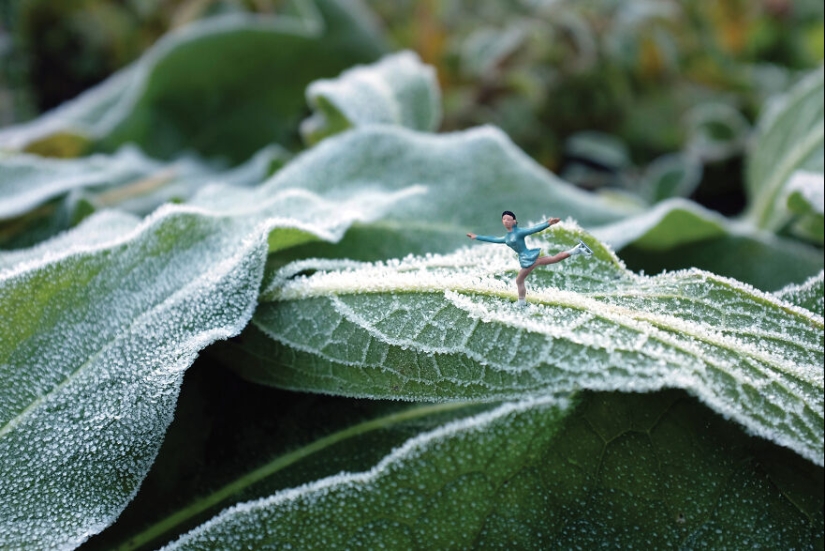 I Spent A Year Photographing The Tiny Residents Of Our Vegetable Farm, And Here Are The Best 10 Photos