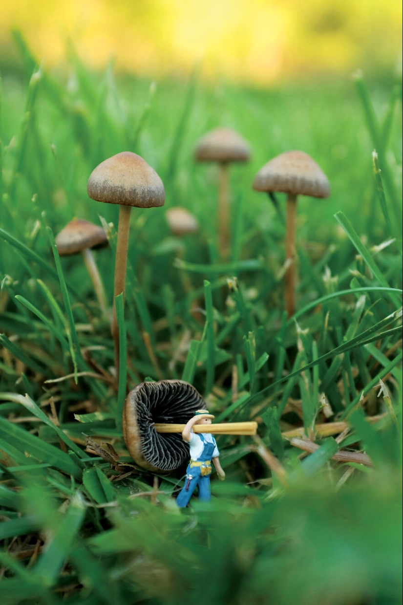 I Spent A Year Photographing The Tiny Residents Of Our Vegetable Farm, And Here Are The Best 10 Photos