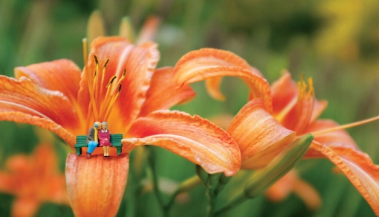 I Spent A Year Photographing The Tiny Residents Of Our Vegetable Farm, And Here Are The Best 10 Photos I Spent A Year Photographing The Tiny Residents Of Our Vegetable Farm, And Here Are The Best 10 Photos