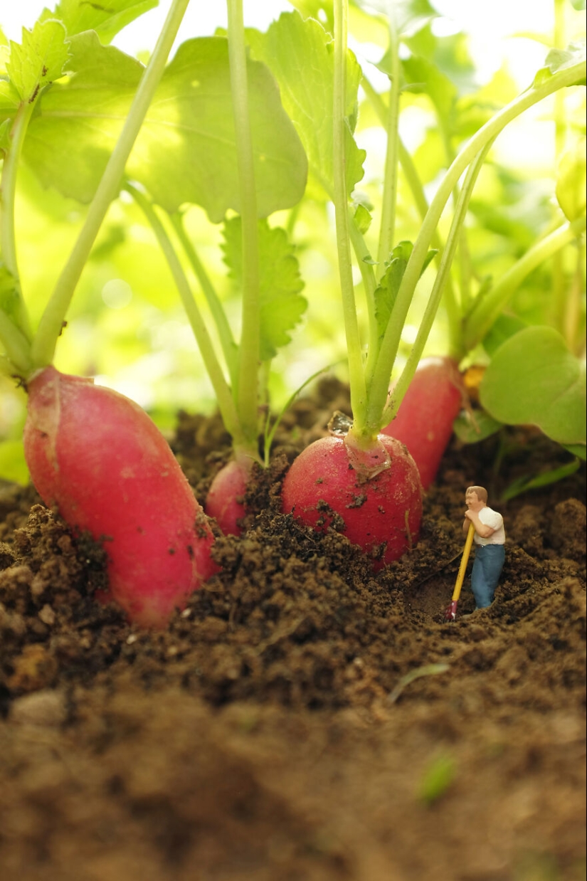 I Spent A Year Photographing The Tiny Residents Of Our Vegetable Farm, And Here Are The Best 10 Photos