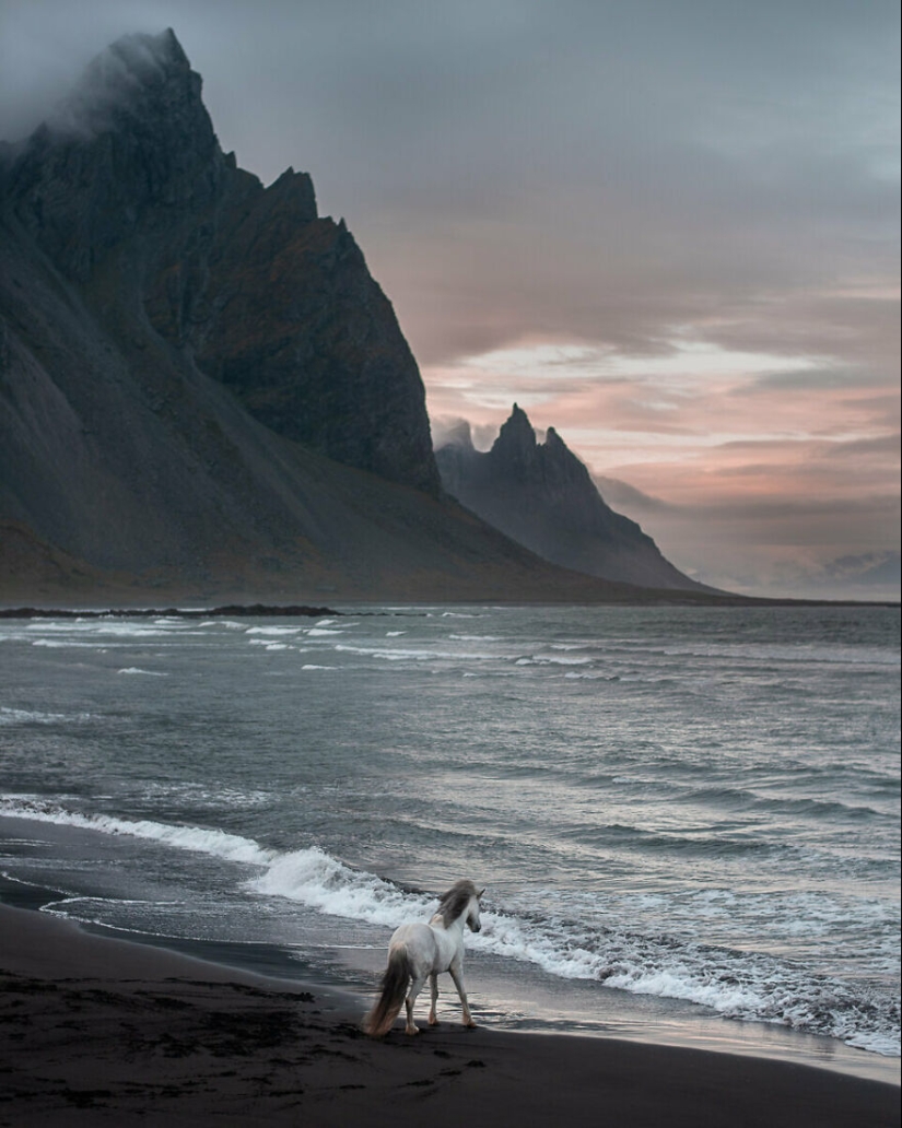 I Took Pictures Of Beautiful Horses In Breathtaking Icelandic Landscapes, And Here Are 12 Of Them (Part2)