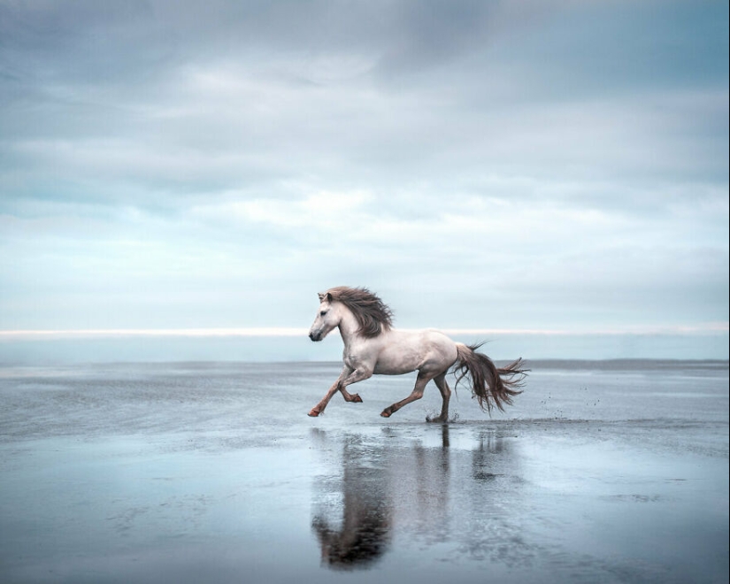 I Took Pictures Of Beautiful Horses In Breathtaking Icelandic Landscapes, And Here Are 12 Of Them (Part2)