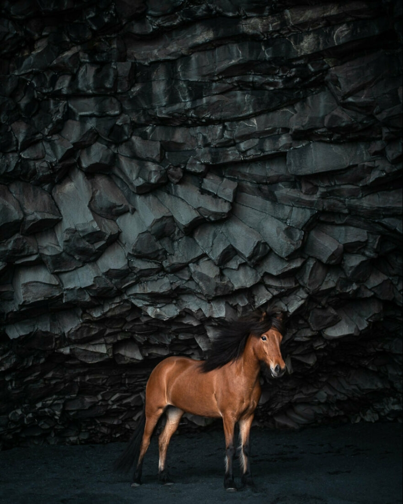 I Took Pictures Of Beautiful Horses In Breathtaking Icelandic Landscapes, And Here Are 12 Of Them (Part2)