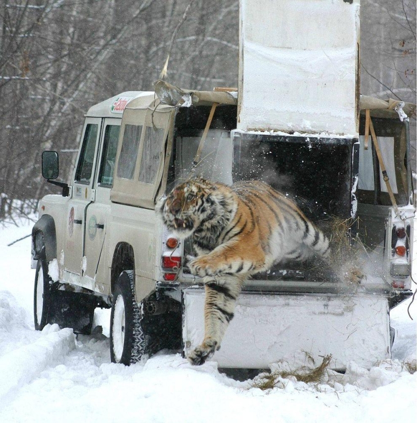 &quot;I would have screwed up&quot;