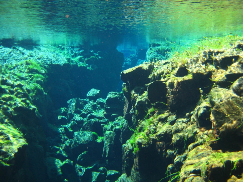 Icelandic fault Silfra - between two parts of the world Icelandic fault Silfra - between two parts of the world