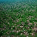 Ida es un campo de refugiados en Sudán del Sur. Ida es un campo de refugiados en Sudán del Sur.