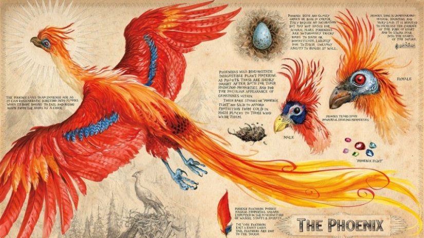 Ilustraciones mágicas de los libros de Harry Potter Ilustraciones mágicas de los libros de Harry Potter