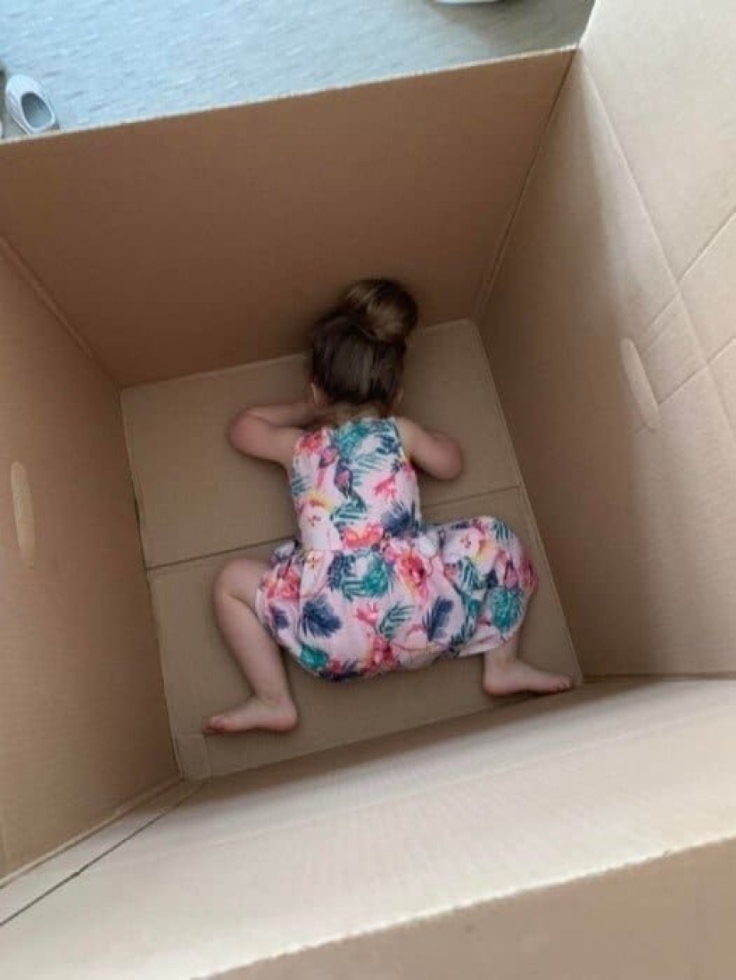 I'm Going To Seek: 13 Adorable Toddlers Playing Hide And Seek