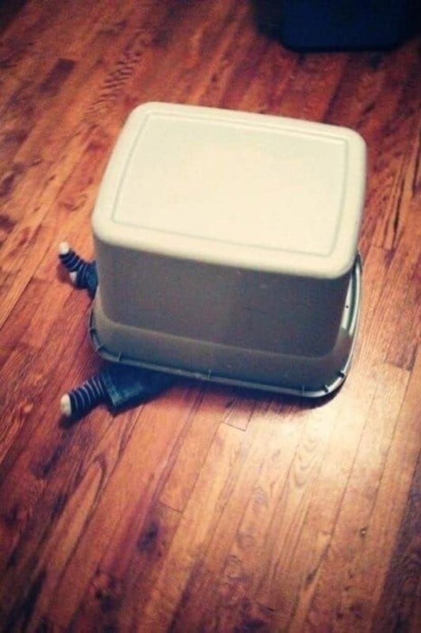 I'm Going To Seek: 13 Adorable Toddlers Playing Hide And Seek