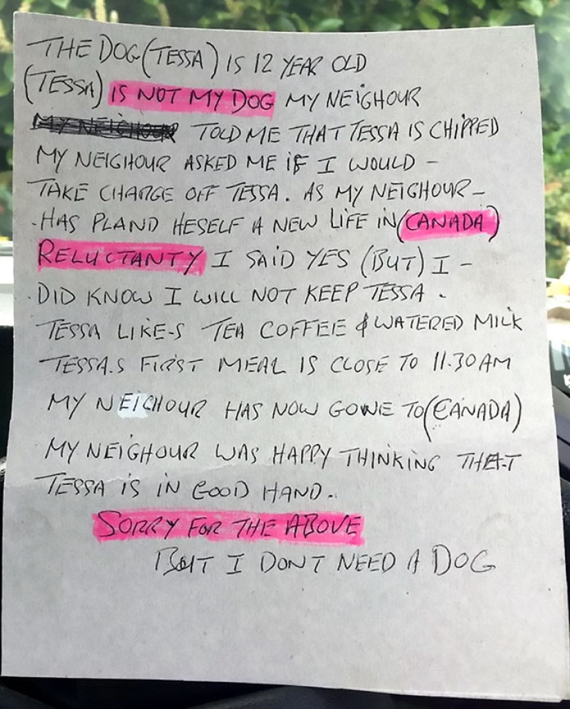 "I'm sorry, I don't need it": a British man was entrusted with a dog, and he threw it into a field "I'm sorry, I don't need it": a British man was entrusted with a dog, and he threw it into a field