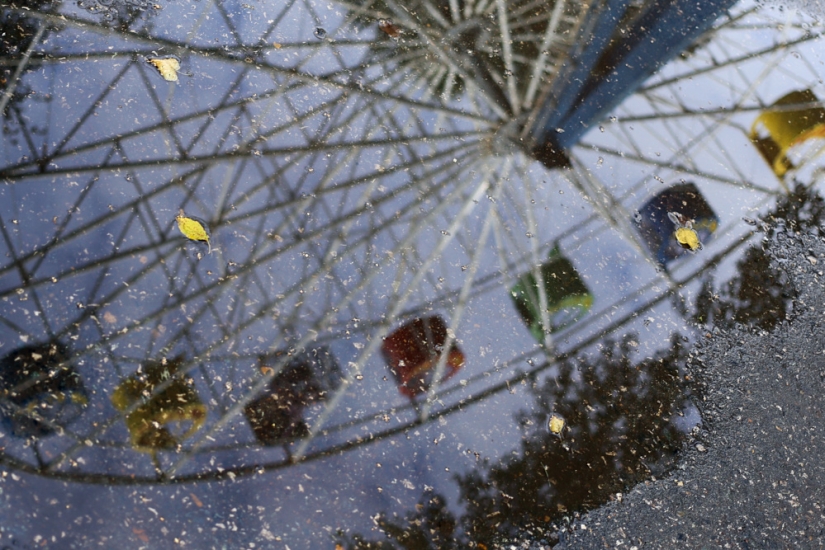 Import substitution by species