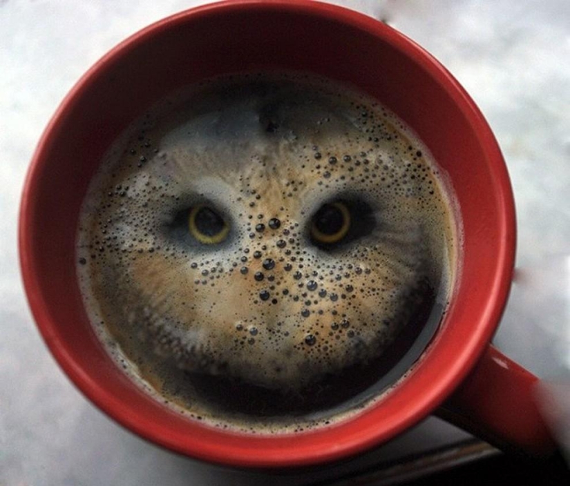 Impresionantes ilusiones fotográficas