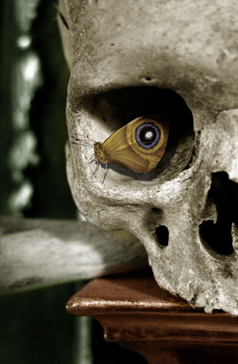 Impresionantes ilusiones fotográficas