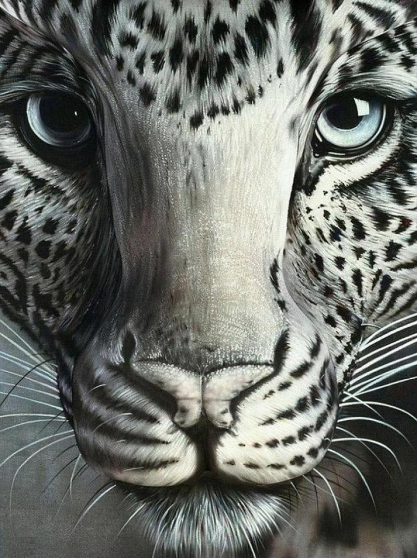 Impresionantes ilusiones fotográficas