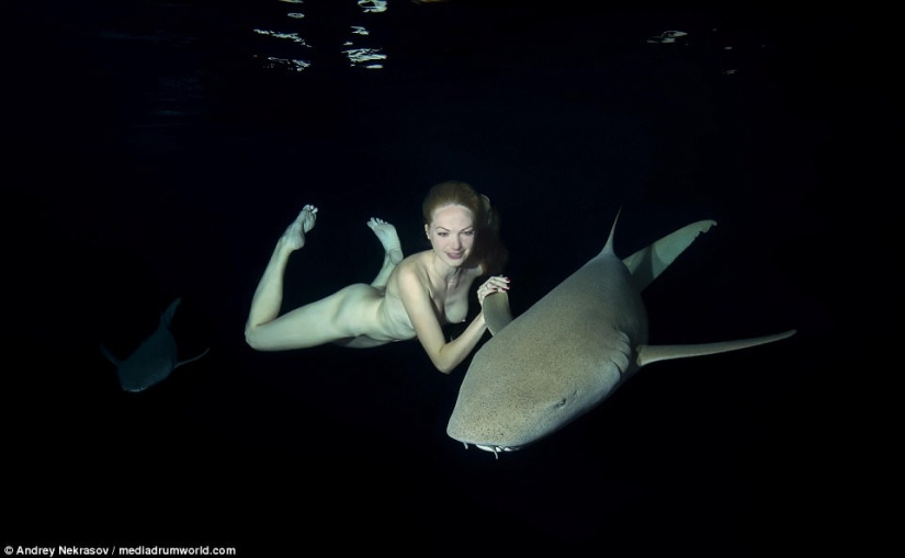 Impresionantes imágenes submarinas: Modelo rusa desnuda nada con tiburones