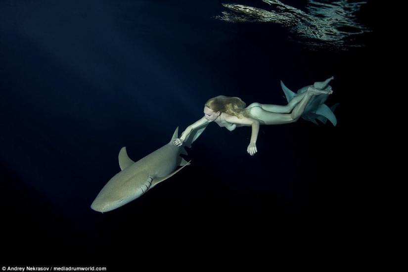 Impresionantes imágenes submarinas: Modelo rusa desnuda nada con tiburones