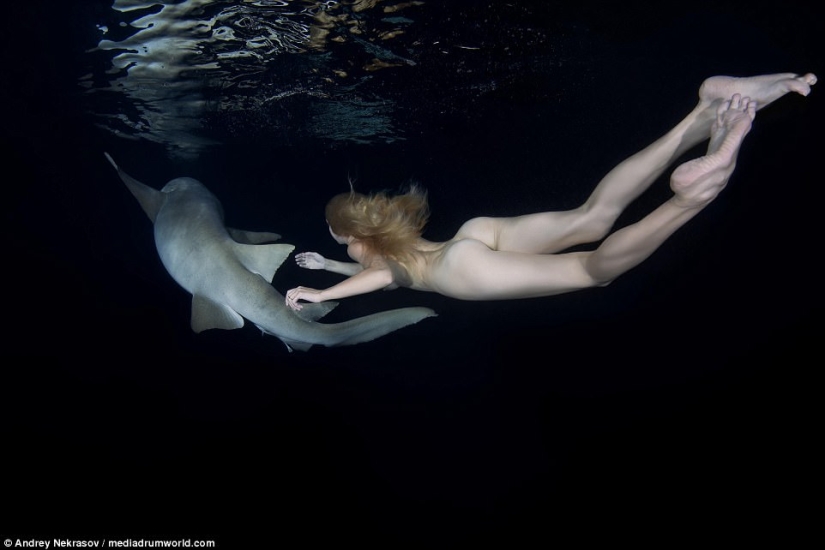 Impresionantes imágenes submarinas: Modelo rusa desnuda nada con tiburones