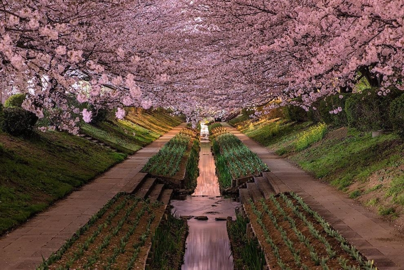 Impressive photos of the first half of 2013
