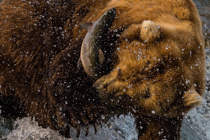 In a new month, in a new day In a new month, in a new day