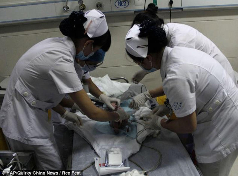In China, a newborn was rescued after being flushed down the toilet In China, a newborn was rescued after being flushed down the toilet