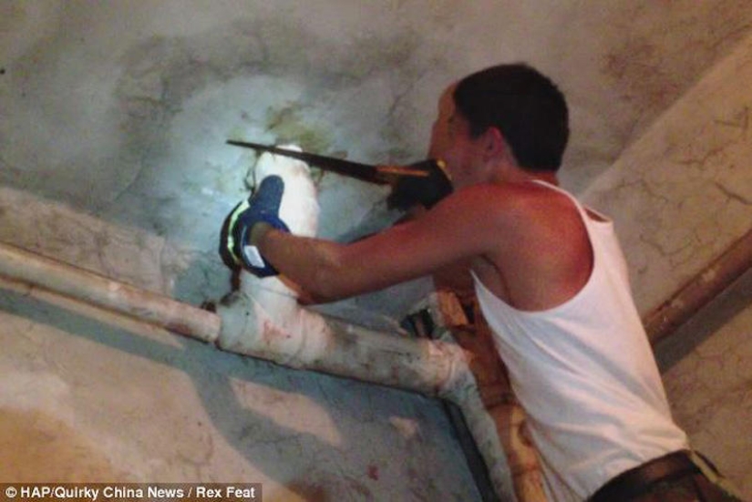 In China, a newborn was rescued after being flushed down the toilet In China, a newborn was rescued after being flushed down the toilet