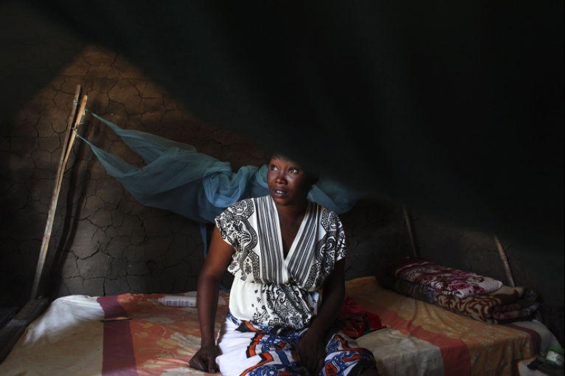 In search of a better life: stories of refugees from around the world