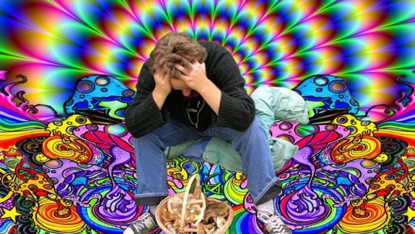 In the USA, they came up with the idea of treating alcoholism with hallucinogenic mushrooms In the USA, they came up with the idea of treating alcoholism with hallucinogenic mushrooms