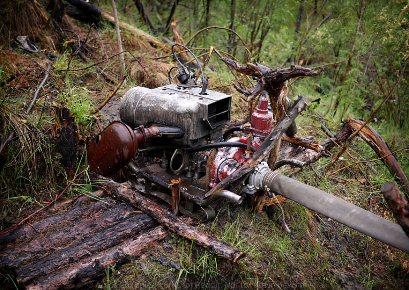 In Yakutia, a new "gold rush" — hunting for mammoth tusks
