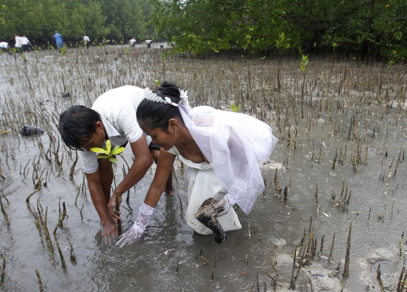 Increíbles fotos de bodas de todo el mundo. Increíbles fotos de bodas de todo el mundo.