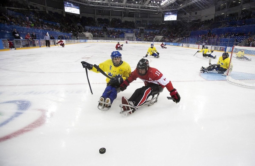 Increíbles Juegos Paralímpicos de Invierno 2014