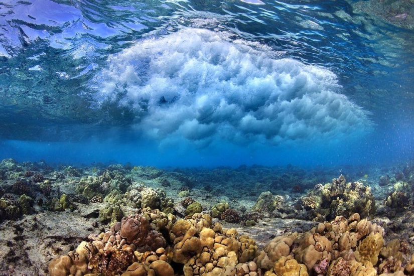 Incredible pictures of waves off the coast of Hawaii