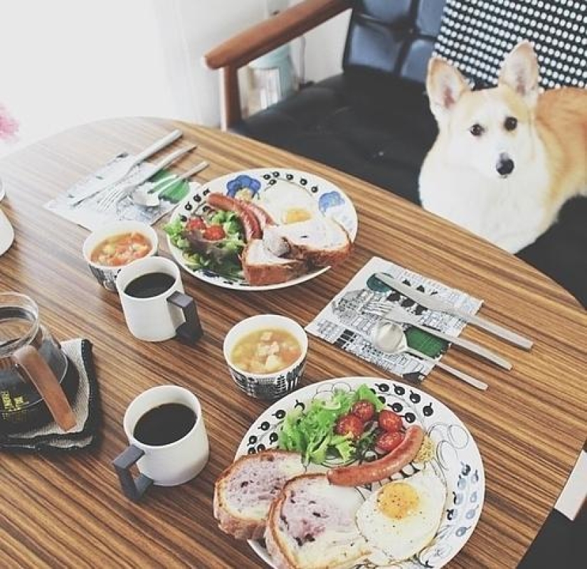 Incredibly beautiful breakfasts on Instagram