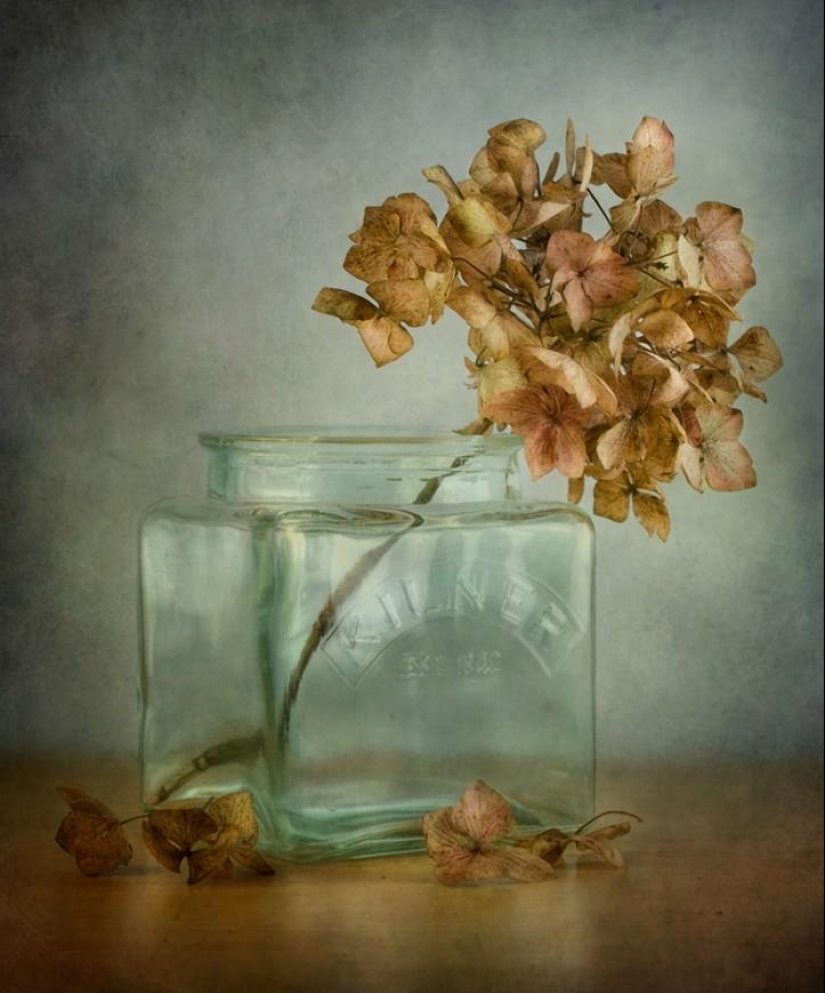 Incredibly delicate work by photographer Mandy Disher Incredibly delicate work by photographer Mandy Disher