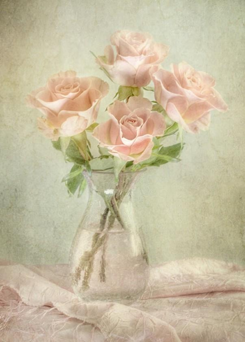 Incredibly delicate work by photographer Mandy Disher Incredibly delicate work by photographer Mandy Disher