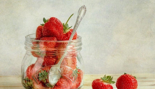 Incredibly delicate work by photographer Mandy Disher