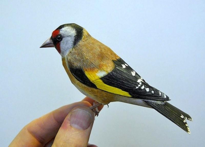 Incredibly realistic 3D paper birds Incredibly realistic 3D paper birds