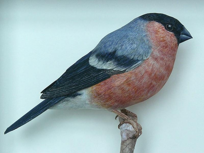 Incredibly realistic 3D paper birds Incredibly realistic 3D paper birds