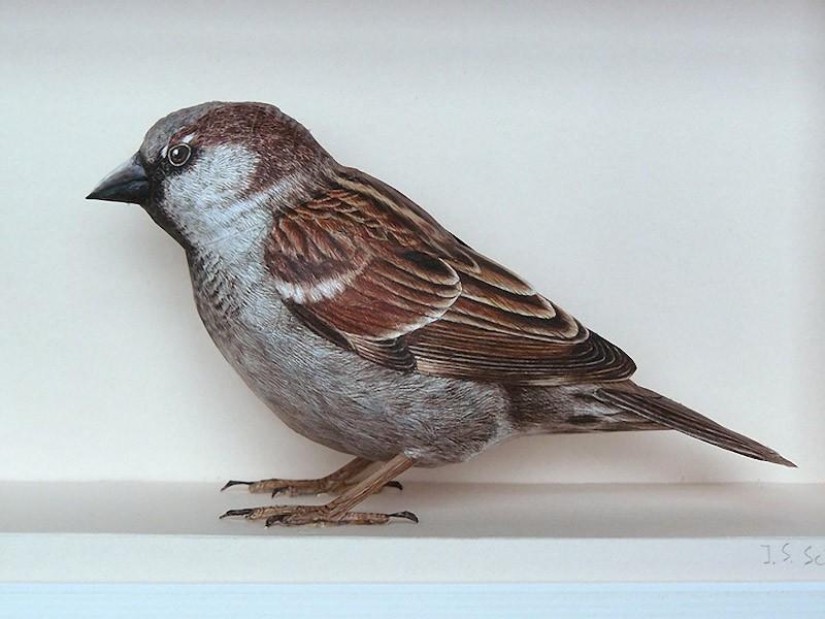 Incredibly realistic 3D paper birds Incredibly realistic 3D paper birds
