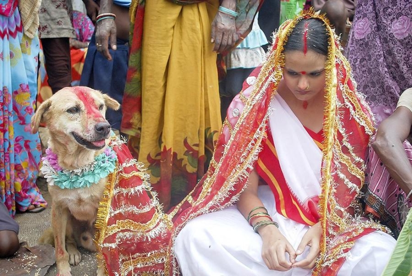 Indian girl marries dog to break curse