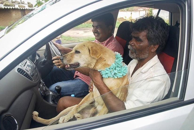 Indian girl marries dog to break curse