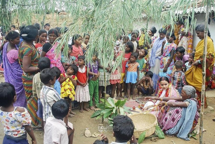 Indian girl marries dog to break curse