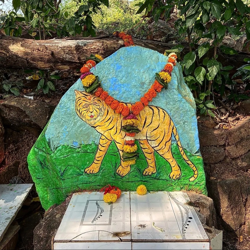 India's Leopard God, Waghoba, Aids Wildlife Conservation In The Country