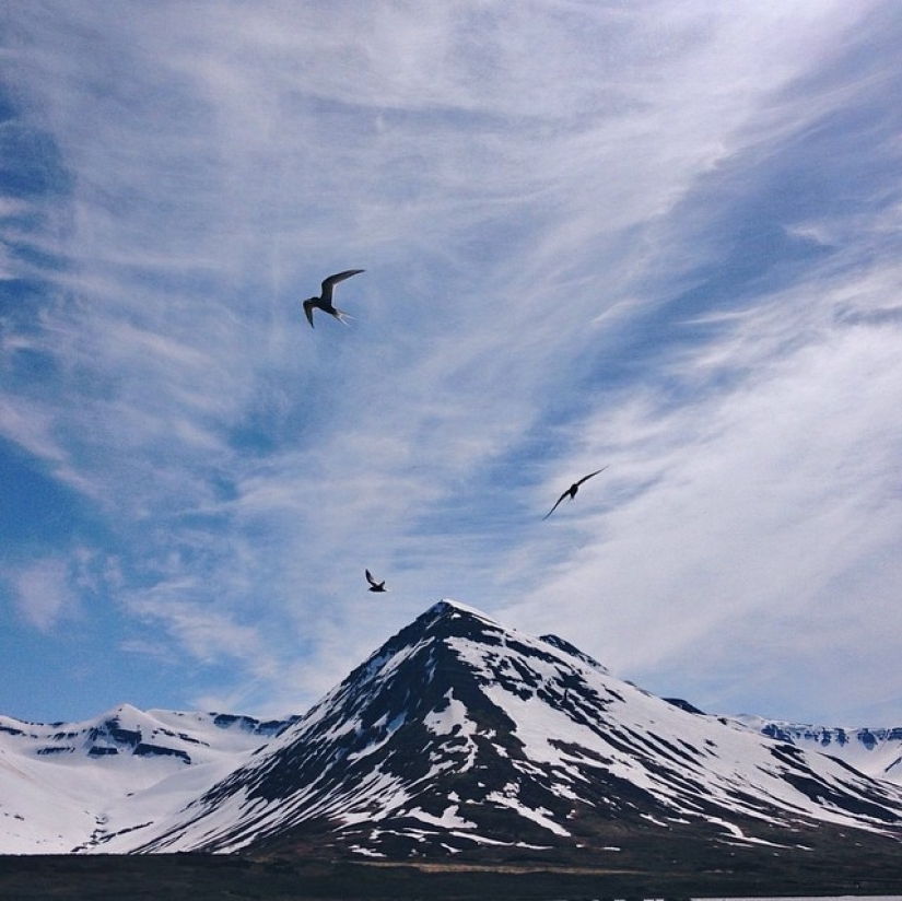 Informe de Instagram: Islandia
