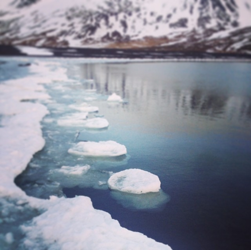 Informe de Instagram: Islandia