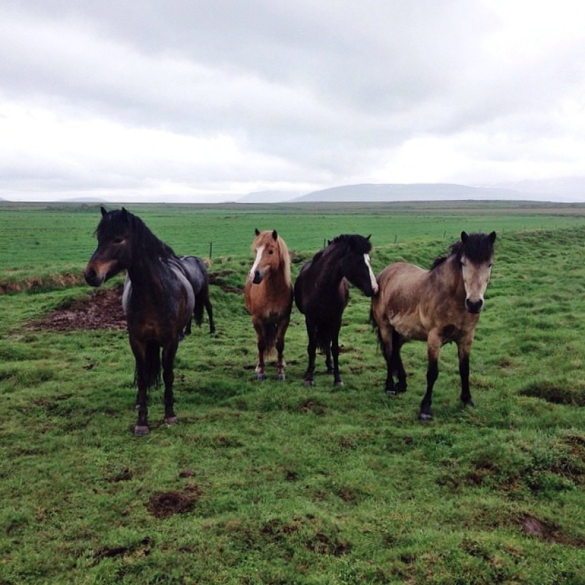 Instagram Report: Iceland