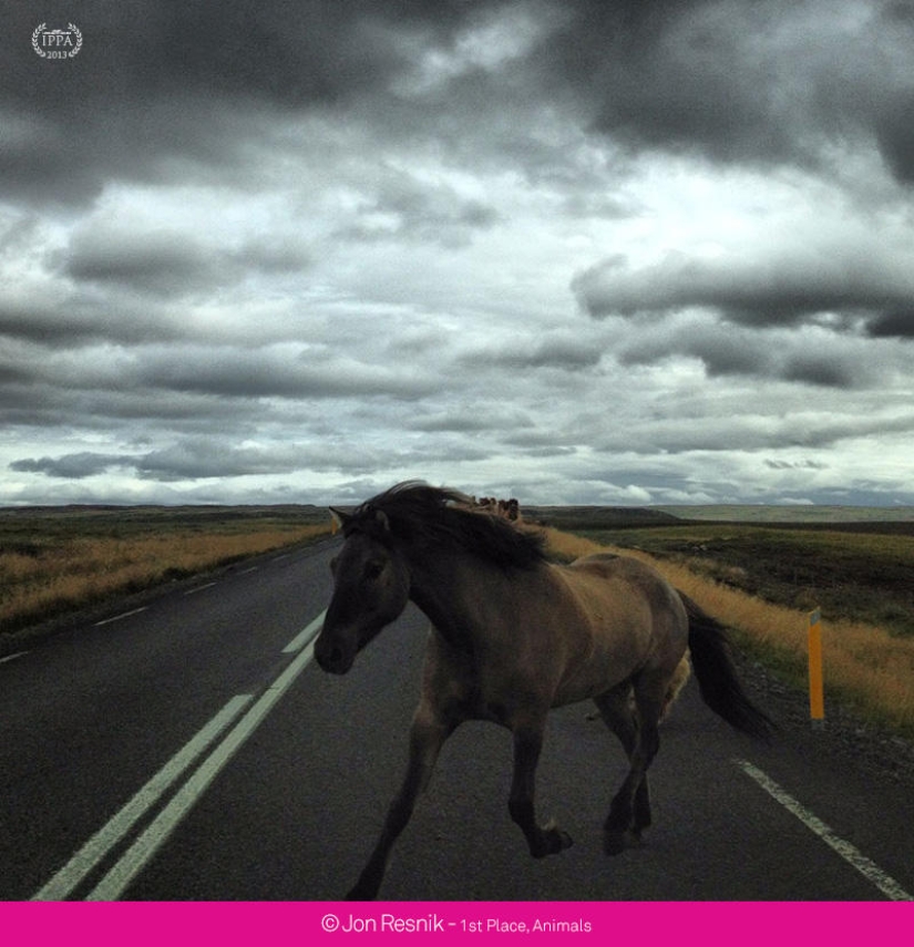 iPhone Photography Awards 2013 iPhone Photography Awards 2013