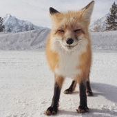 iPhone Photography Awards 2014 Winners iPhone Photography Awards 2014 Winners